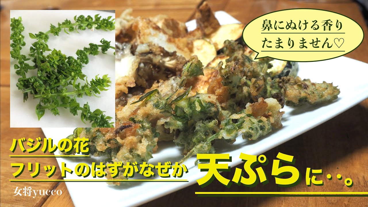 シソの実とバジルを収穫して保存しよう！手作りジェノベーゼとシソの実の塩漬けレシピ料理・レシピBE-PAL キャンプ、アウトドア、自然派生活の情報源ビーパル