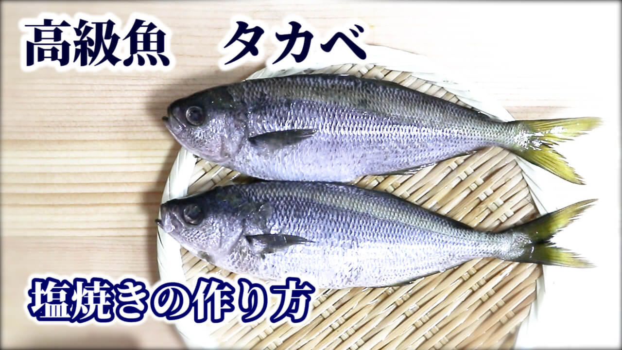 タカベの刺身 : 魚と野菜と私と和ノ香