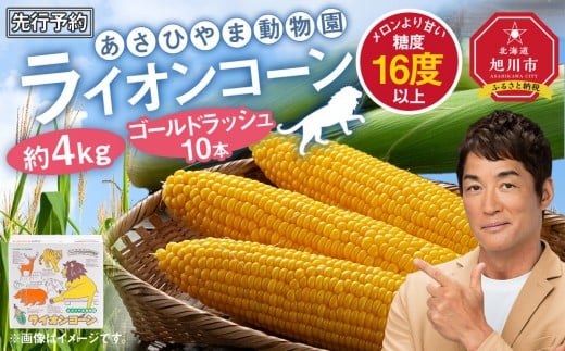 加西市網引のとうもろこしを使用した「とうもろこしベーグル」は終了。 旬の野菜は一瞬ですね🌽 代わって本日より、「枝豆ベーグル」出ました！早生の黒大豆を使用していますので、ちょっと小ぶりなお豆ですが、たっぷり入っています！ お待ちしております