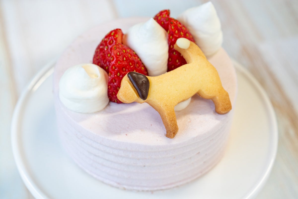 フローランテ宮崎宮崎 宮崎・青島 おすすめの人気観光・お出かけスポット - Yahoo!トラベル