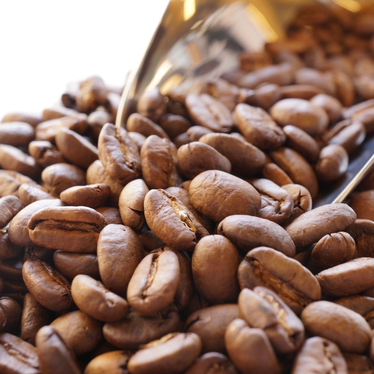 真っ赤な実「コーヒーチェリー」とは？焙煎までの流れと再利用方法 - macaroni