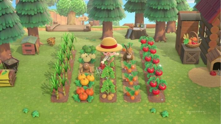 あつ森 野菜の入手方法と苗の種類売値 あつまれどうぶつの森 ゲームエイト