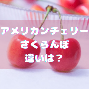 旬のサクランボ アメリカンチェリーの違いとは カロリーが高いのはどっち？Hint-Pot -2