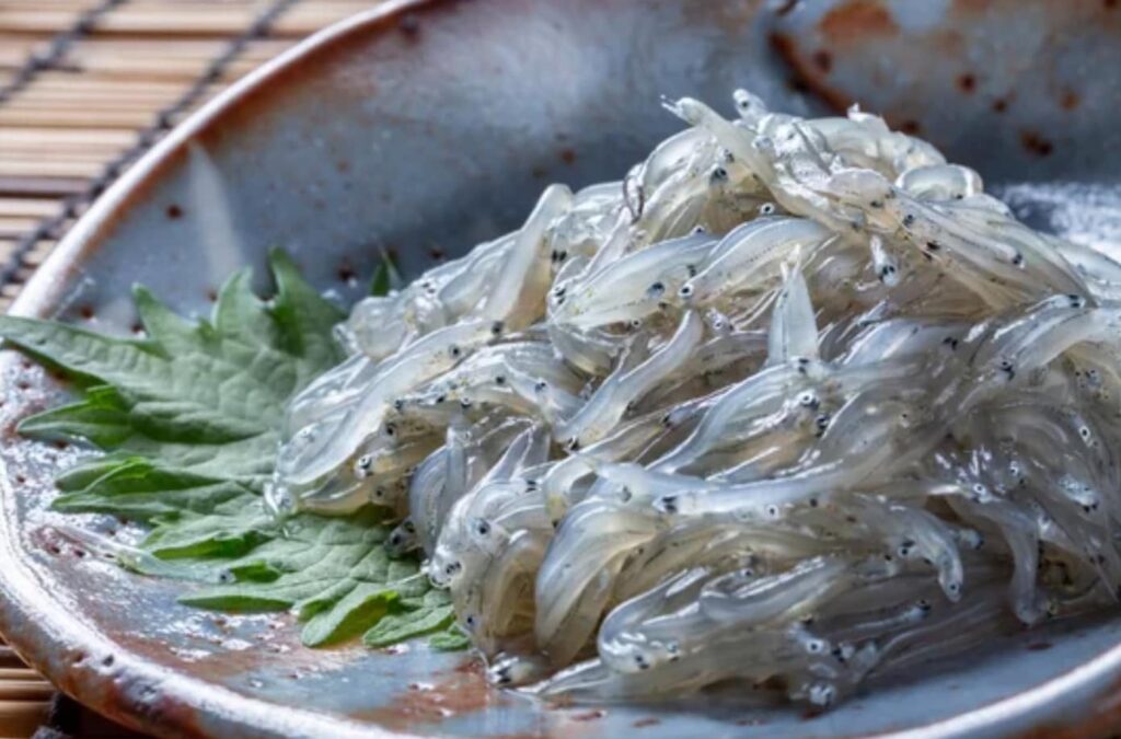 生シラスやしらす干しは誰のこども？魚食普及推進センター 一般社団法人 大日本水産会