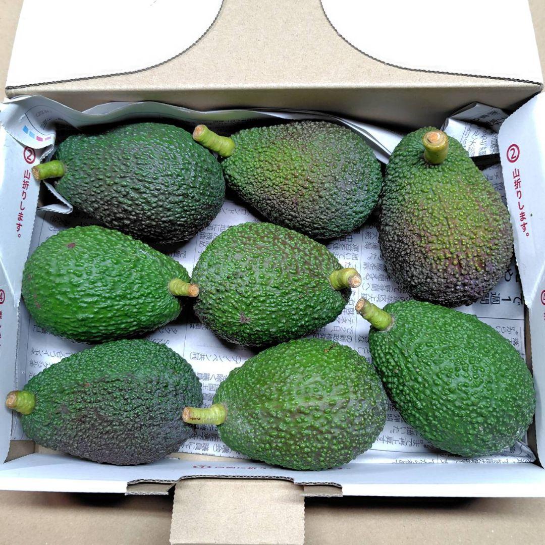 先行受付2024年10月中旬から発送 アボカド 国産 家庭用 除草剤 不使用 約 900g 4 から 6 個愛媛 松山 サラダ 栄養ディップ 栄養 健康 料理 デザート パスタ パン サラダ ジュース - 愛媛県松山市ふるさとチョイス - ふるさと納税サイト