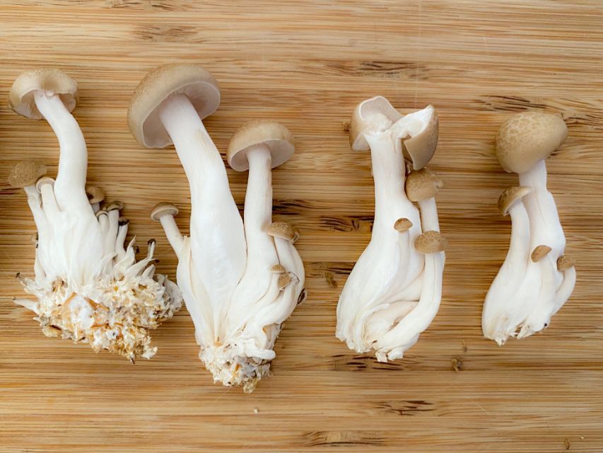 きのこの下ごしらえ・切り方食材別の下ごしらえ・切り方 料理の基本・初心者向け情報レシピ大百科 レシピ・料理味の素パーク たべる楽しさを、もっと