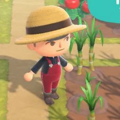 畑を作って農作物を育てたい！ あつ森日記＃236- 電撃オンライン
