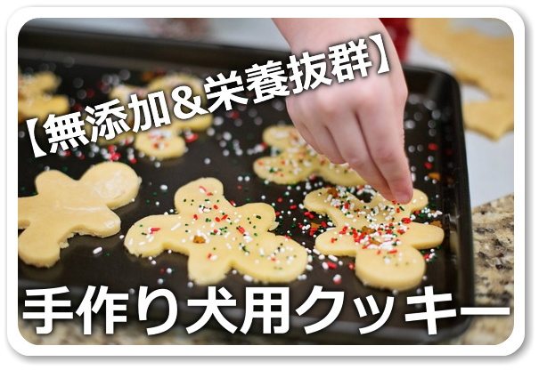 獣医師監修 犬がクッキー 市販のものも を食べても大丈夫？手作りクッキーや与えて良い製品は？hotto ホット