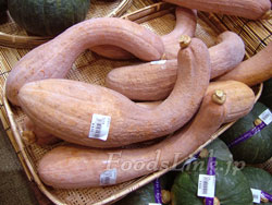 鶴首かぼちゃ - チーズケーキマニアへの道!! 世界の味を発見しよう