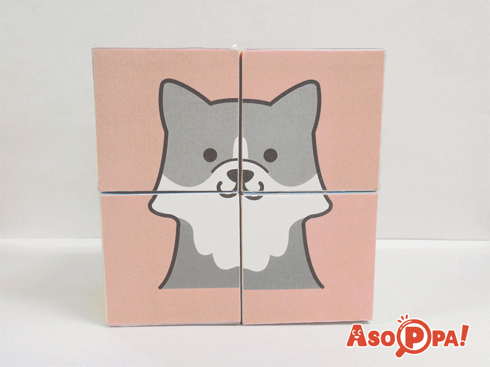 かわり絵ボックス かわりえぼっくす 簡単！牛乳パックで作ろう 楽しい工作雪印メグミルク株式会社