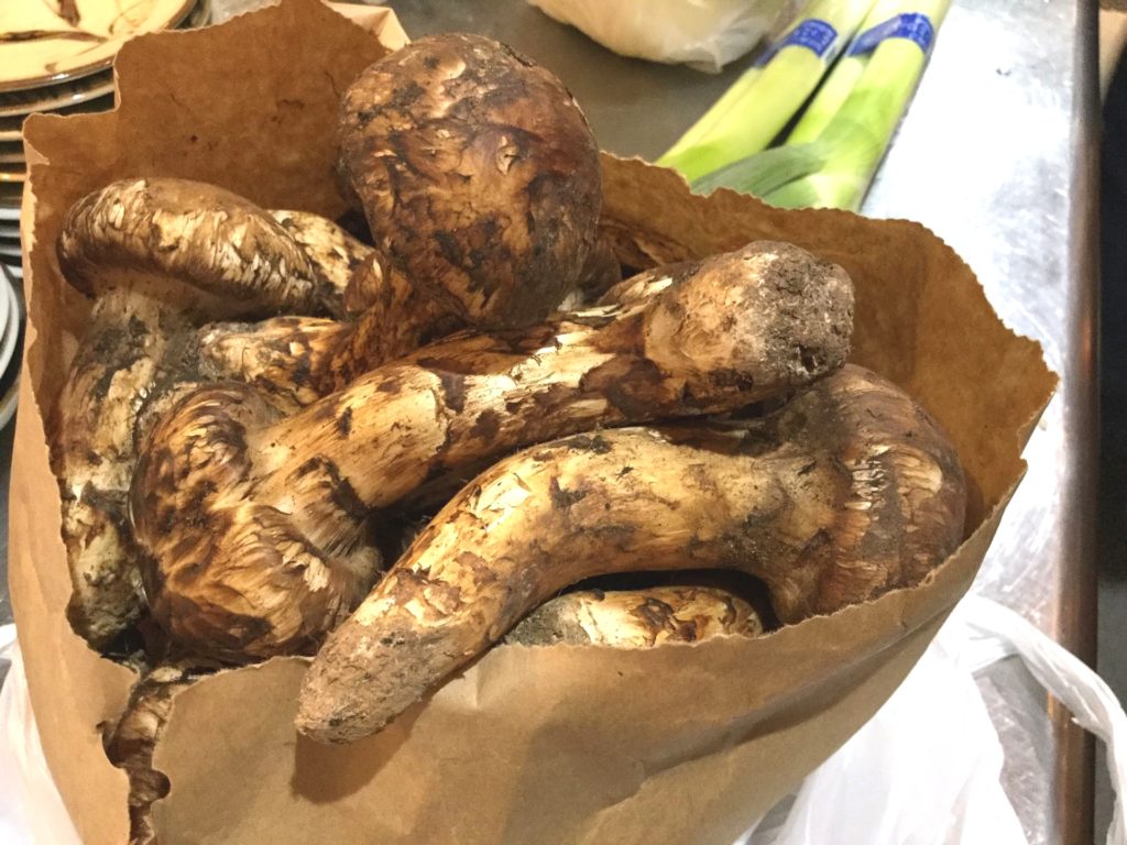 秋の味覚「松茸」がおいしい東京・銀座のお店 和久多ほうおう 、渋谷 RISTORANTE YAGI ヒトサラ