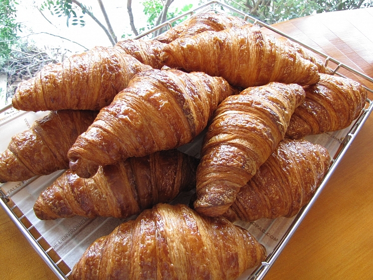 パンに沼る企画 │ pan_obsess on X: 