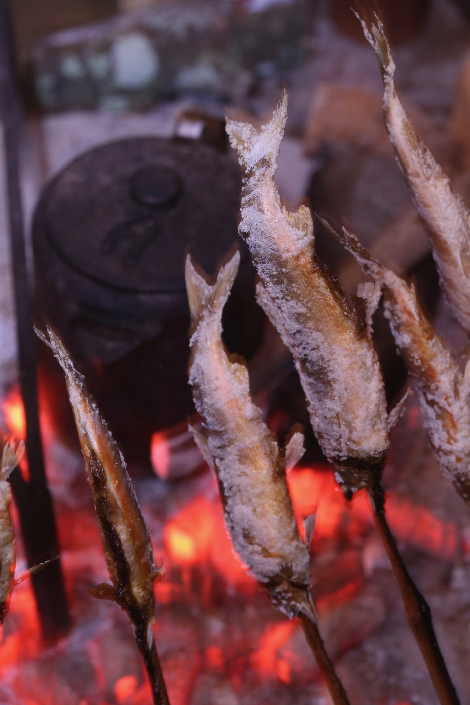 3つのコツで美味しく焼ける！魚を焼くなら簡単・手間なしフライパンアルファジャーナル