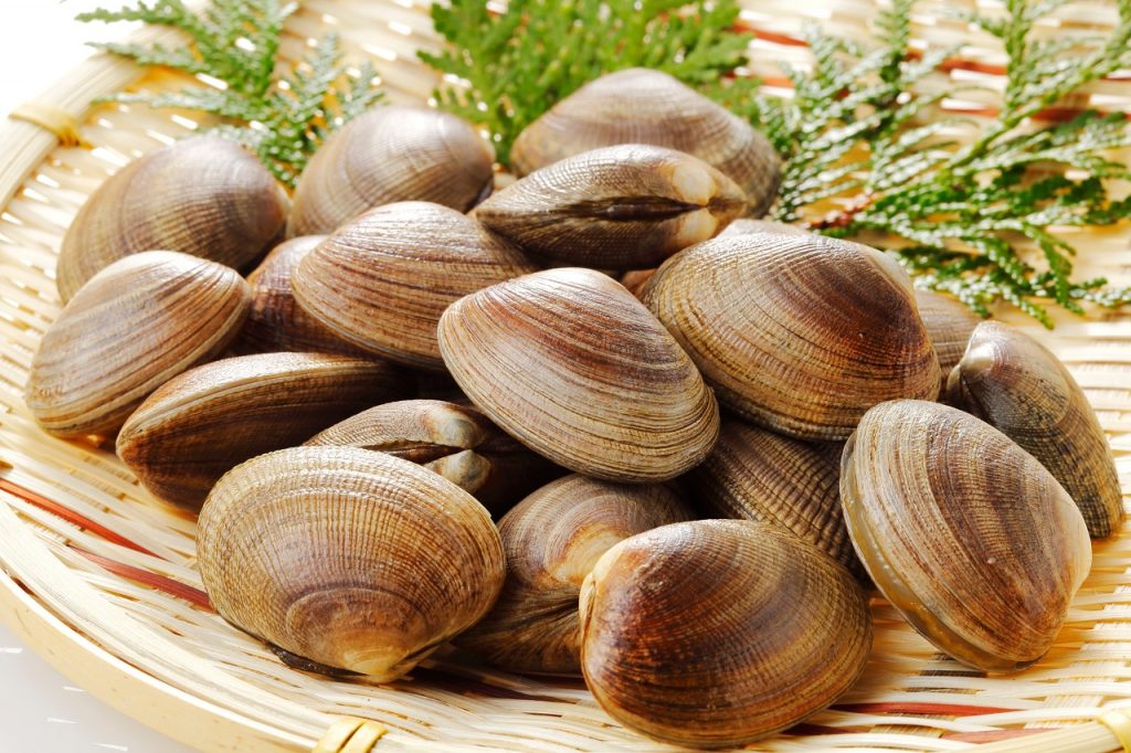 失敗しないあさりの砂抜き法はこれ！ 鮮魚店直伝 簡単レシピ付き三越伊勢丹の食メディアFOODIE フーディー