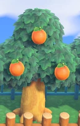 あつ森 レモンが追加されている？これは新しい果物なのか「真相」について。 あつまれどうぶつの森 攻略 実況 bgm 島クリエイター 島紹介 アプデ 新要素 新情報