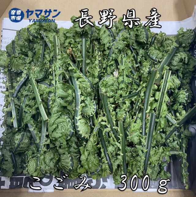 こごみのゆで方・下処理と簡単な食べ方：白ごはん.com