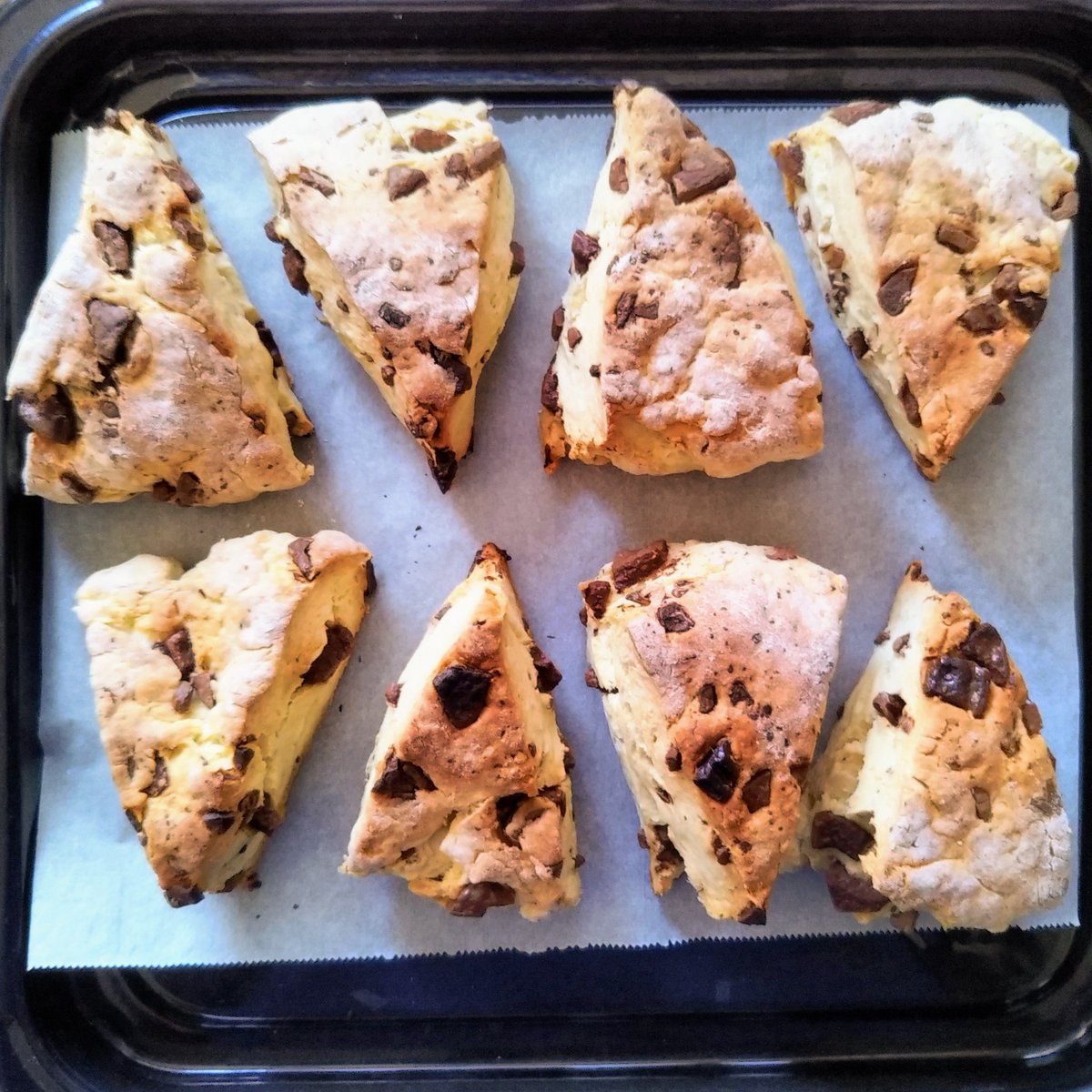 人気のザクザクチョコスコーンの超簡単レシピ。バターなし！薄力粉でトースターでラクな作り方。 - つくりおき食堂