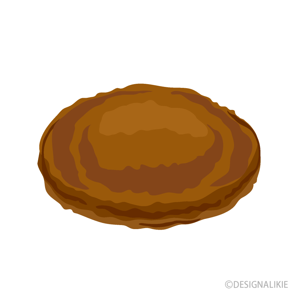 至福の時チーズハンバーグ 写真素材3089267- フォトライブラリ