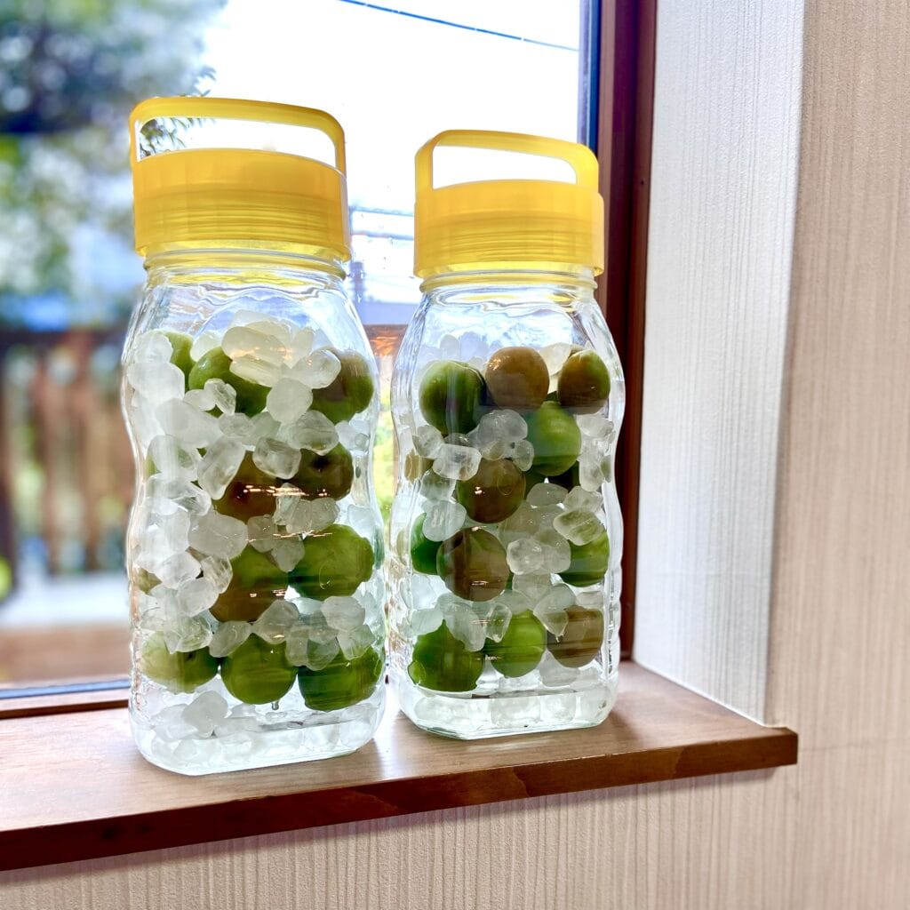 梅シロップDM三井製糖株式会社