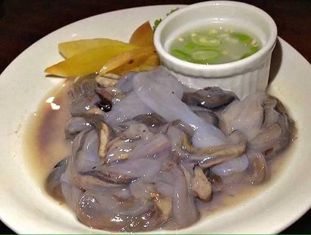 フィリピンワシふぃりぴんわし とは ピクシブ百科事典