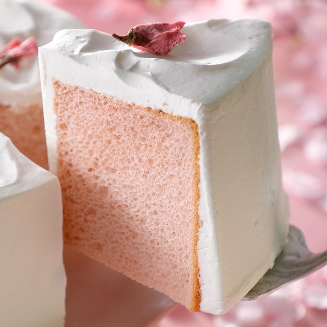 口どけの良さに感動！スタバの「新作シフォンケーキ」桜の風味がめちゃくちゃ美味しい～