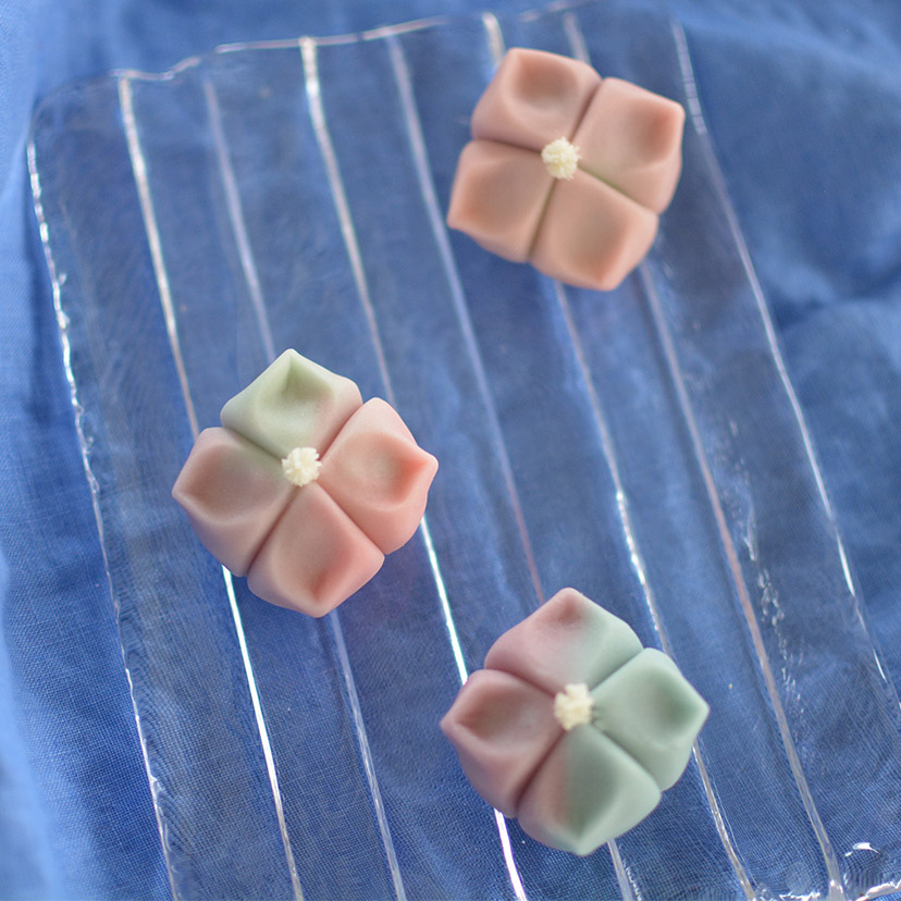 今回ご紹介します上生菓子は「朝顔」です。 ねりきり 中餡 こし餡 夏の花のひとつ、朝顔は育てやすい植物です。 花の色も幅広く、青、赤、ピンク、紫、白など色とりどりです。小学校の授業で育てたり、毎年行われている朝顔市など、日本人に馴染みが深い花です。 菓匠