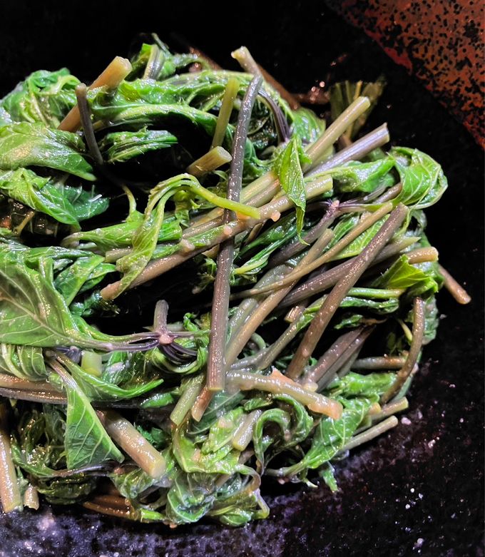 岩手の山菜祭りとおいしいレシピTikTok