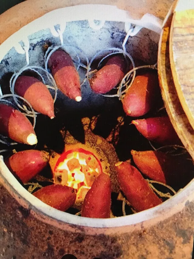 楽天市場 陶器 信楽焼 焼芋壺 やきいも つぼ 焼き芋 やき芋 壷 石焼き芋 かめ 特大 大きい 業務用 店舗用 七輪は付属しておりません 彩り屋 :彩り屋