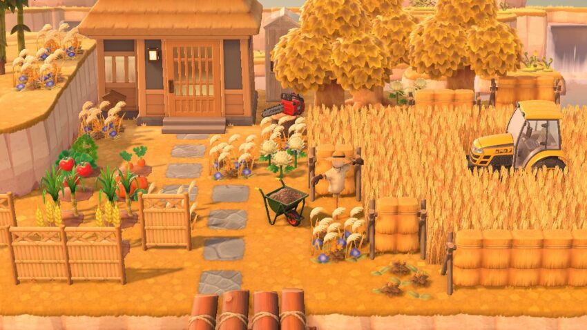 あつ森 アップデート後の野菜入手法についてわかりやすく解説！パニーの島にレイジを呼んで買う方法！ アプデ後の野菜畑- YouTube