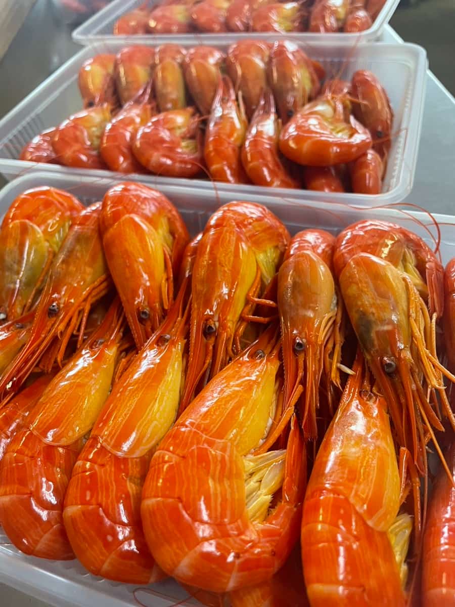 厚岸産 北海しまえび漁がスタートします！！厚岸漁協直売店「エーウロコ」のスタッフ日記