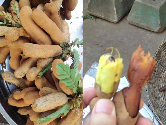 OKINAWAフルーツらんど 南国フルーツがまだまだ実っております。 トロピカル王国の王様を助けるスタンプラリーを制覇した時には、あなたも珍しい果物の博士になっているはず！お子様も楽しくお勉強できます。ぜひチャレンジしてください。営業時間10:00～17:00