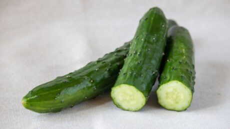 旬のきゅうりを漬けて保存食に！ 冷凍保存も可能な漬物の作り方自分にも地球にも優しい「週1回ベジ食」のすすめ