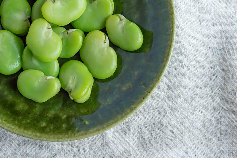 そら豆の美味しい茹で方ガイドさやごと茹でる方法やレンジ加熱、冷凍保存のポイントもふるなび公式ブログ ふるさと納税DISCOVERY