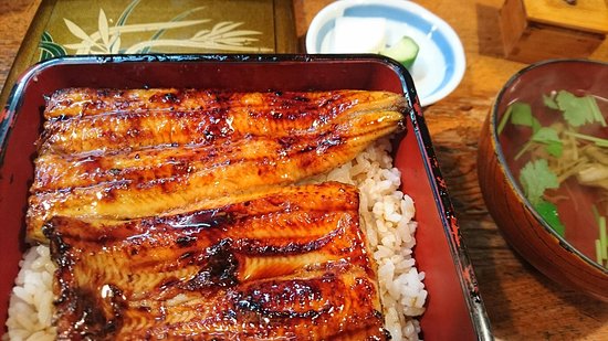 活鰻 - 新さっぽろ うなぎ食べログ