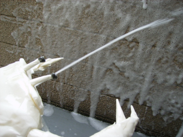 美味しいビールは泡が違う週末起業でたこ焼き屋