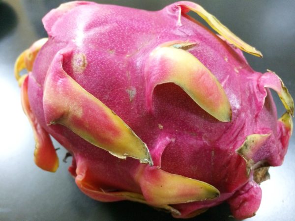 ドラゴンフルーツ ピタヤ