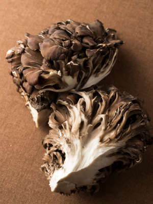 舞茸にカビが生えているかも？見分け方や保存方法について解説 - macaroni