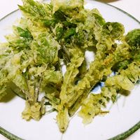 こごみの天ぷら レシピ 大原 千鶴さん みんなのきょうの料理