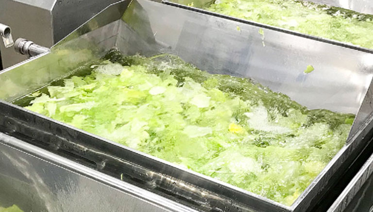 クックパッドニュース：◯◯で洗うのがコツ！シャキシャキになる「レタス」の洗い方毎日新聞