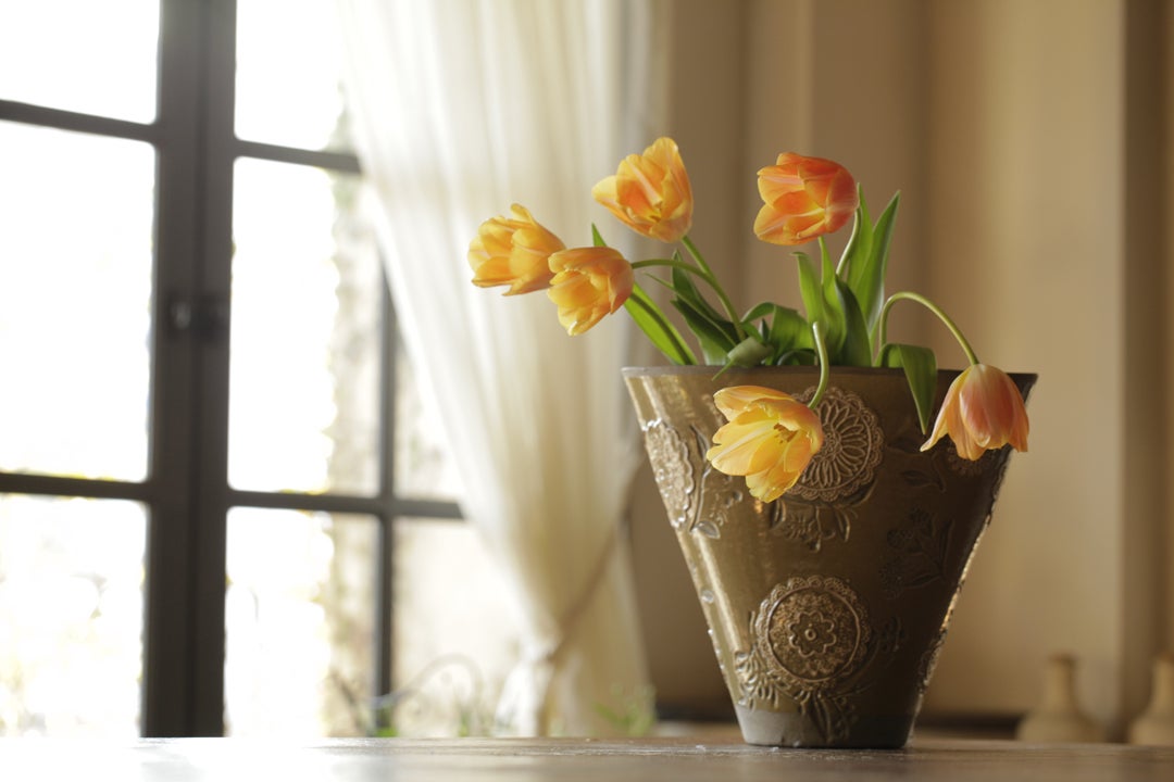 フラワーアレンジメントを日持ちさせる方法は？ – &YOUKAENアンドユーカエン