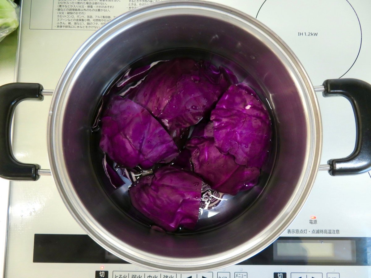 紫キャベツの液がPHによって色が劇的に変わるので感激した。 – KEISUI ART STUDIO