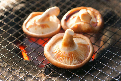 舞茸の石づきはどこで切る？正しい切り方を解説 - Fily