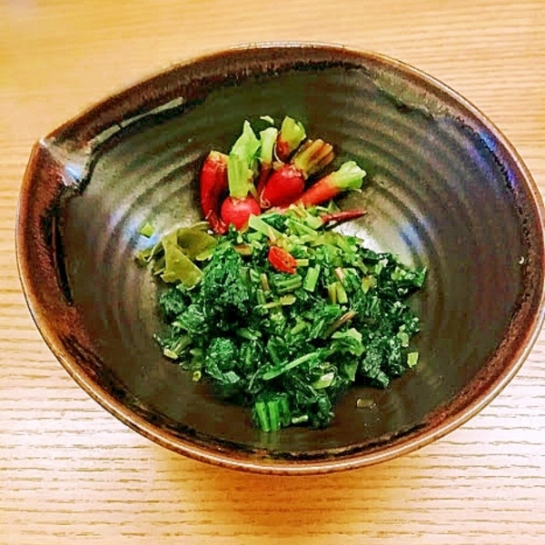 ラディッシュの葉は食べてもいいの？ 栄養やレシピのおすすめなどを紹介PREZO プレゾ- 北海道のお取り寄せグルメと産直通販