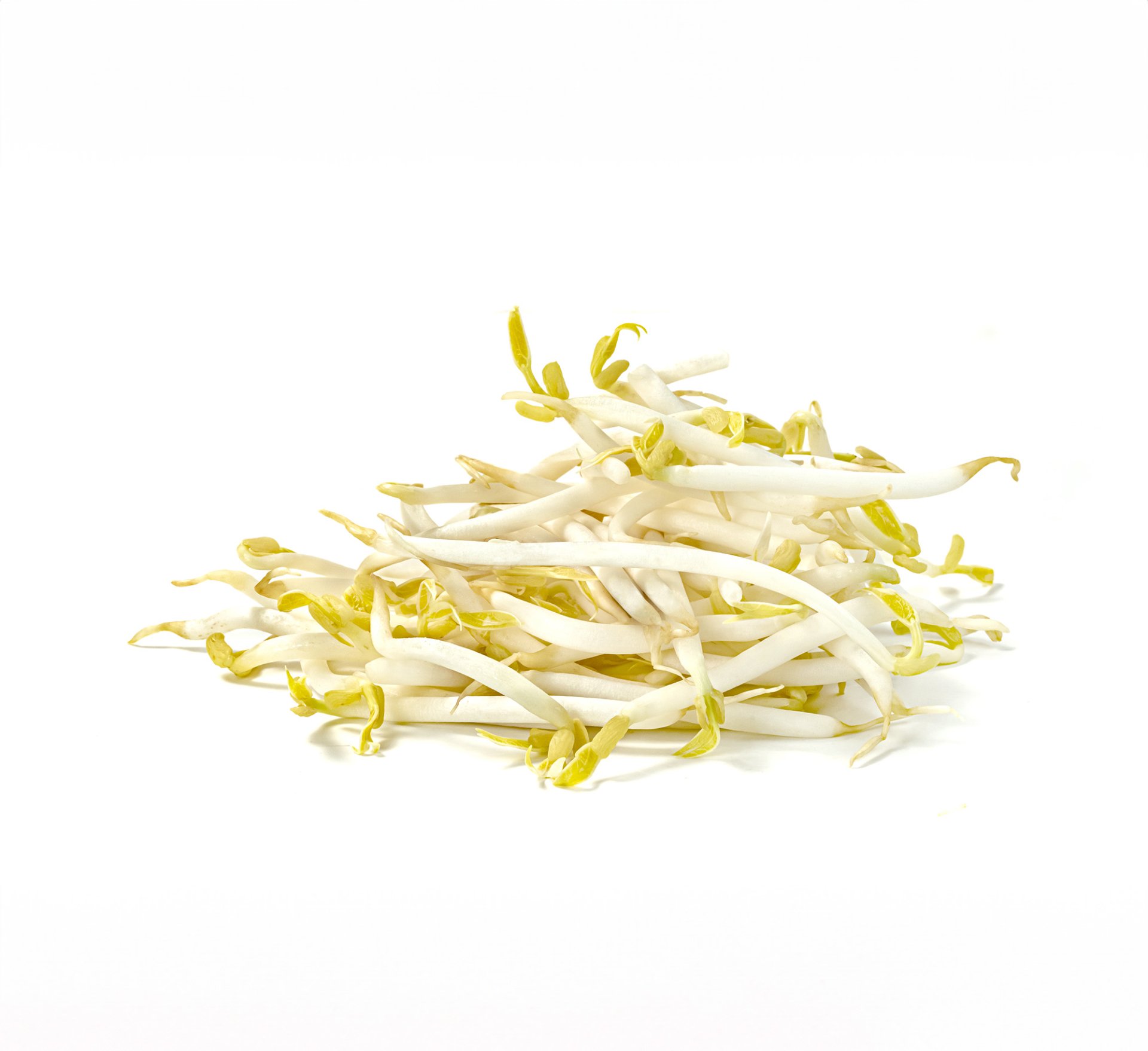 How to Sprout Mung Beans