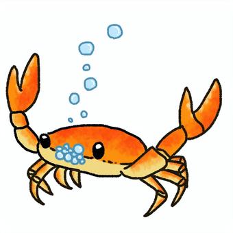 まとめ カニが泡を吹く理由は呼吸困難の合図！ – マリブ 水槽メンテナンス神奈川 海水専門レンタル・買取り・代行