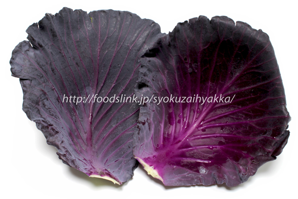 紫キャベツとニンジンのサラダ