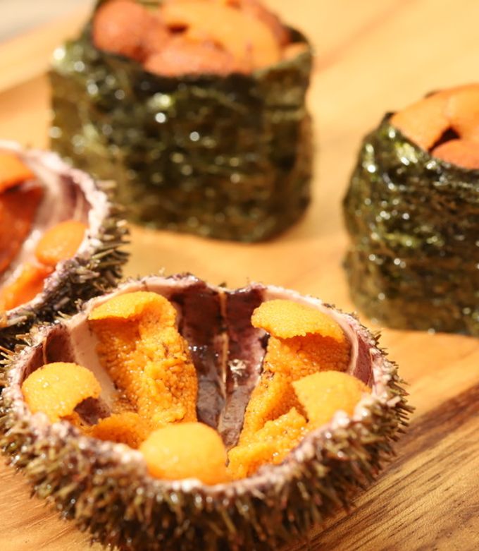 うにの軍艦巻きの写真素材45003480- PIXTA