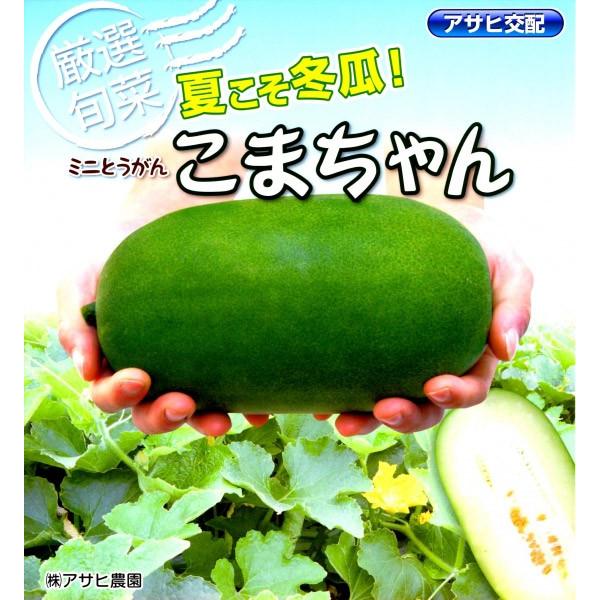 使い勝手抜群！クセのない淡泊な味わいの「冬瓜」マイナビ農業