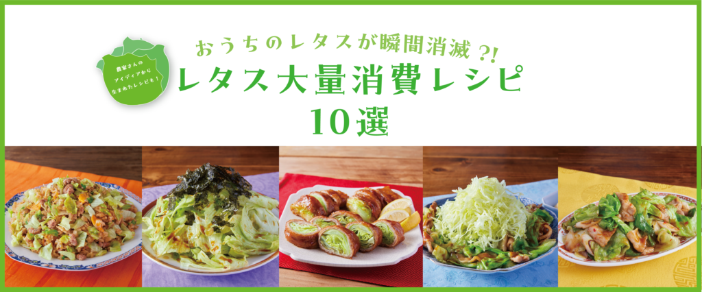 無限レタス特集 大量消費にも役立つ人気レシピ24選の人気レシピ・作り方デリッシュキッチン