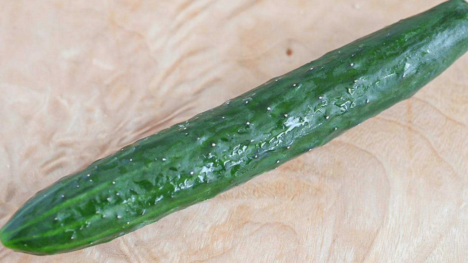表面がぬるぬるのきゅうりは食べられる？原因と対処法を解説 - Fily